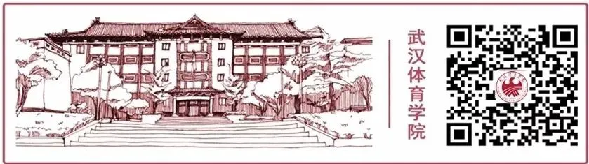 绳梯训练篮球_1